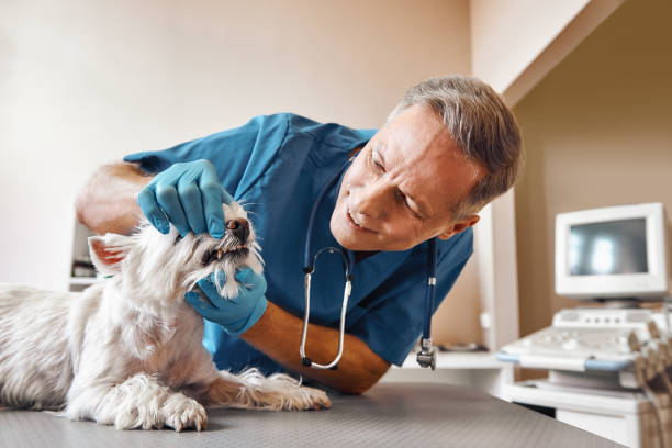 Best Pediatric Emergency Dentist in Atlantic Beach, NY